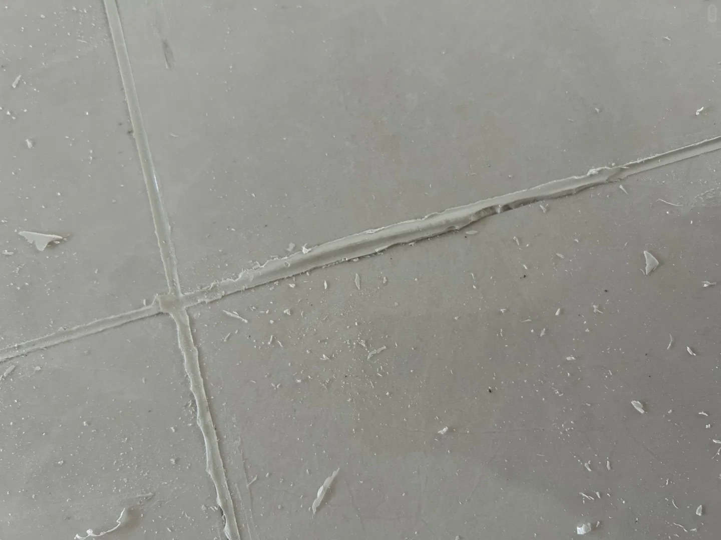 35306760.jpg 35306760.jpg