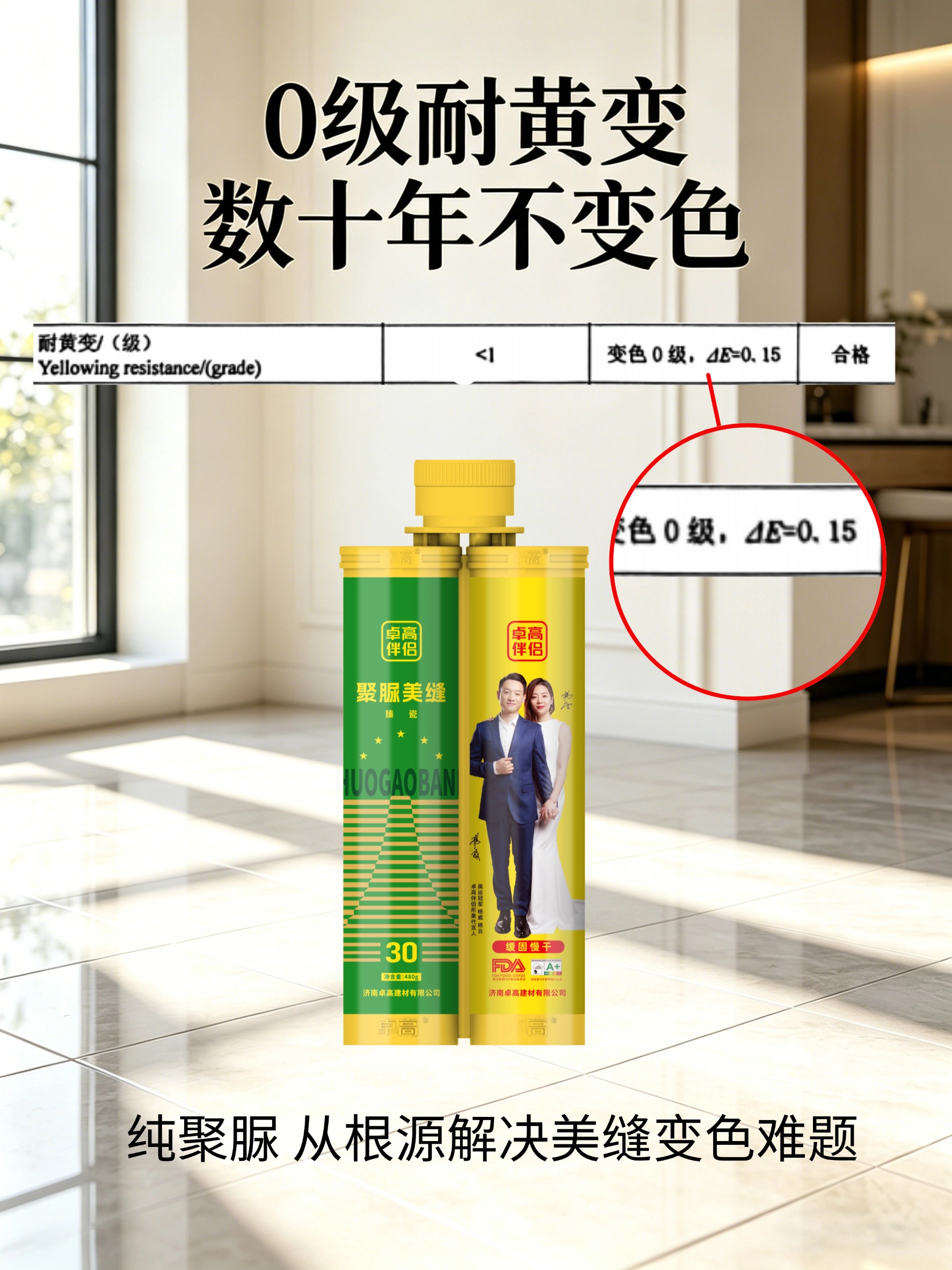 卓高伴侣